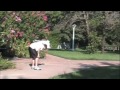 Phillip's Alternate Kool Kid Kamp (Part 1)