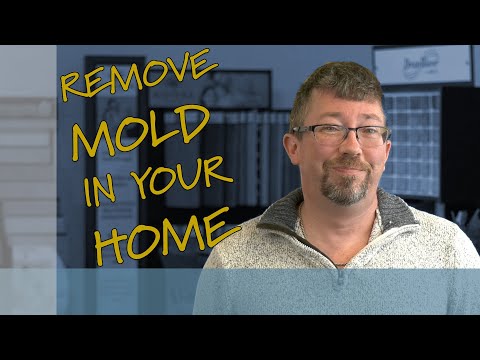 video-linktoworks-Remove Mold in Your Home (Safely!)