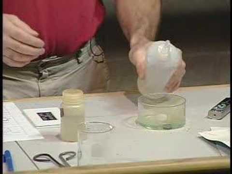 oxidation - A chemical demonstration of the oxidation of copper metal by nitric acid. Carleton University, Ottawa, Canada.