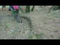 Abercarn Downhill