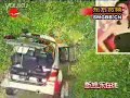 香港艺人杨千嬅遭遇离奇的车祸