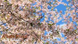 Relaxing Sounds Escape - Safe Place