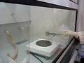 La serpiente