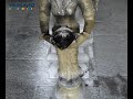 Kanchipuram Videos, Tamil Nadu, India