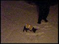ay caramba, snow!