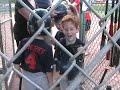 charlies first at bat ever!