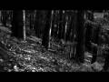 videos de MTB-Freeride TV - Folge 25 - Downhill Training mit Marcus Klausmann in Baar, Elsass