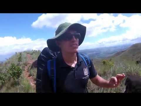 Chegando ao Acampamento Base do Roraima