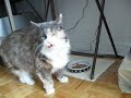 Macrina - 25 June 2007 - 1