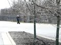 goped out on a cold day.it went about 20mph that day and a few weeks later i got it to 27mph (had a car drive next to me) when it was warmer out and tuned the carb