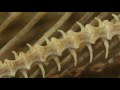 Nine Inch Nails Film Festival Submission - Ghosts IV-33