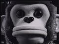 Monkey\