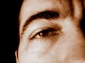 Luis Fernando C. Martins - Flowers in the window - Travis cover