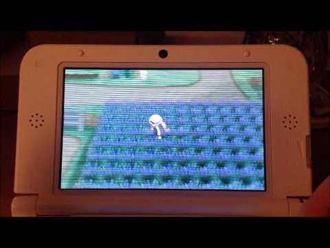 how to use a pokeradar in pokemon x