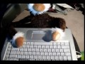 [Runescape] Bob IRL (Training Day)
