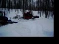 Trail Bully