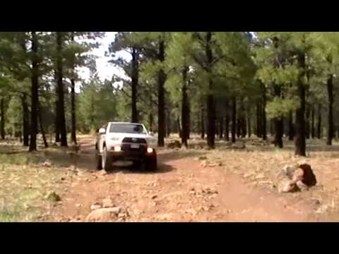 Coconino National Forest -Grand Canyon-2010 4Runner Limited
