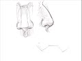How to Draw Noses