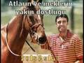 Anticimbom