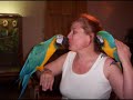 Shake Those Tailfeathers