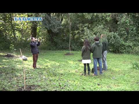 La Gaceta - Videos