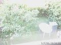 Day light