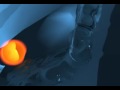 Simple Carrara animation Simple Carrara animation