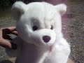 Cute teddy bear getting shot up