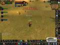 Hunter PvP 70