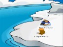 Club Penguin- News Club Penguin- News