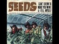 The song from the latest lynx bullet advert by The Seeds, called Can't Seem to make you mine. Legal stuff *rolls eyes* : I do not own this video/ music at all. All credit goes to the real creators of the song.