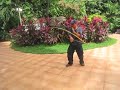 The following is a free flowing demonstration of Grandmaster Jerson Tortal, Jr. performing the 12 basic strikes of DTS and other a combination of those moves.  This martial art is growing rapidly and has its root centuries ago.  If you want to find out more about this combat style self-defense and counter offense program, please let us know so we can arrange a training session or telephone appointment.