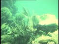 ticket to the Tropics - 1986 eiland St John