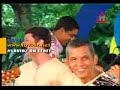 ZECA PAGODINHO - CAVIAR