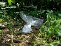 Body found in the East End of Cincinnati