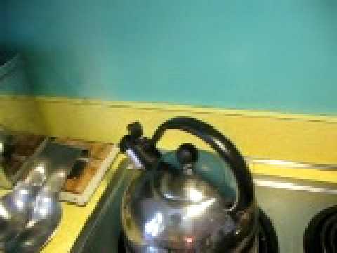 Sarah RabDAU and her teapot