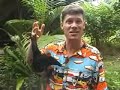 Bruce hangs around with a fruitbat