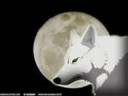 wolfsrain-pics.html