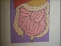 Hookworm Papermation