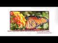 Free Water Conservation and Landscape Classes Oct 8th
