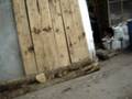 videos de home.exterior