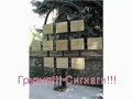 georgia-signagi-kaxeti! georgia-signagi-kaxeti!