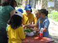 videos de Harvest Festival