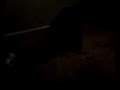 Fat Guy Doing Worm
