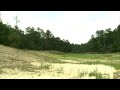 Dam Removal Revives Apalachicola River Tributary