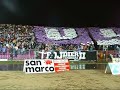 Coregrafie Poli - Rapid