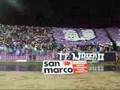 Coregrafie Poli - Rapid