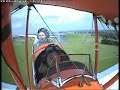 Tigermoth hits a cow during landing on a field Tigermoth hits a cow during landing on a field