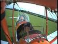 Tigermoth hits a cow during landing on a field