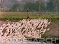 claude fran�ois au sommet de son art